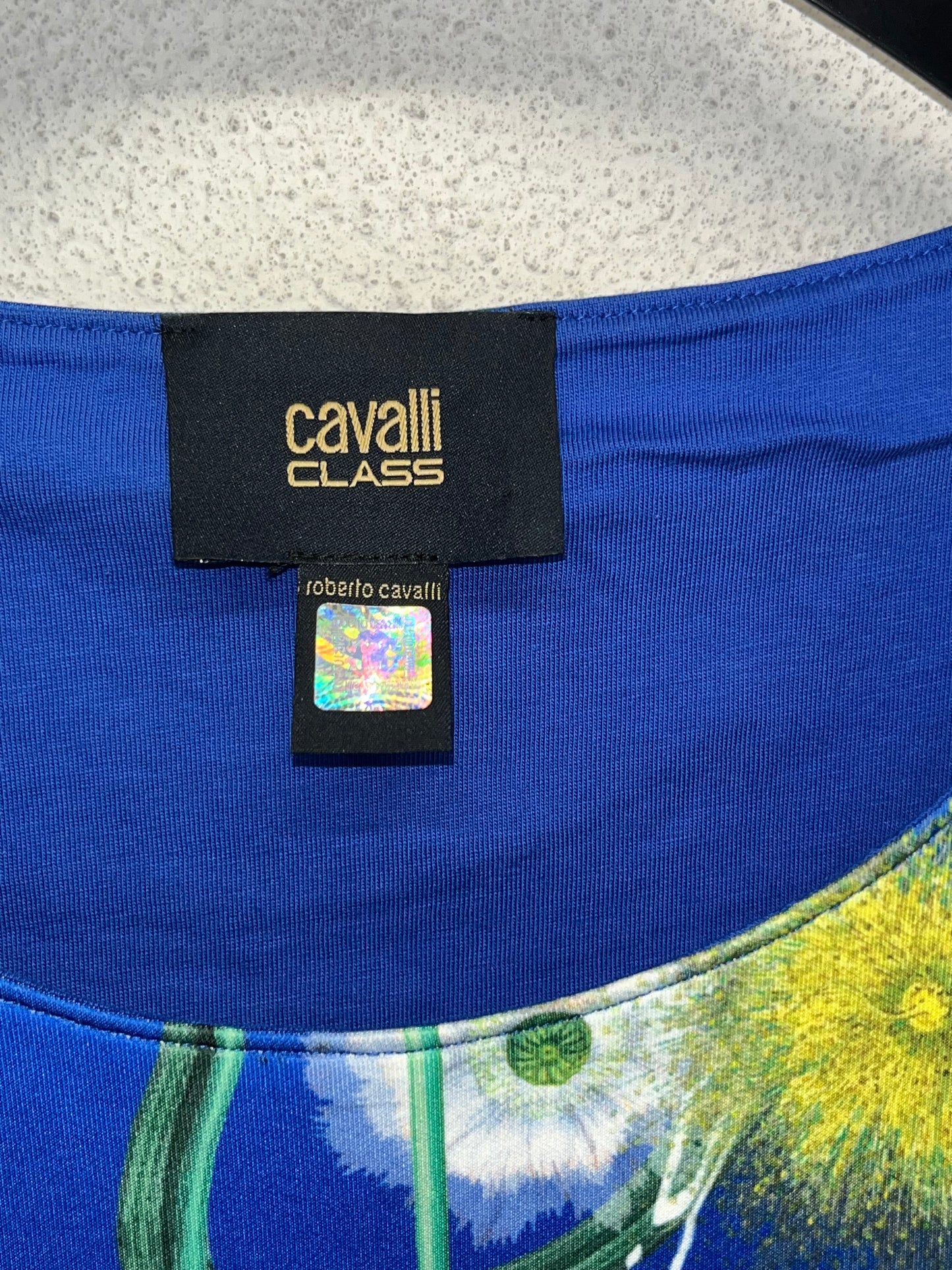 ROBERTO CAVALLI blue Dress (40/XS)